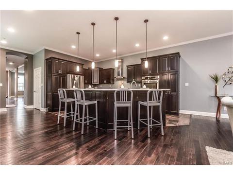 910 Morrison Ave, Saint Louis, MO 63104 photo 17