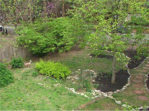 910 Morrison Ave, Saint Louis, MO 63104 photo 38