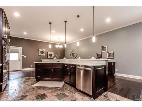 910 Morrison Ave, Saint Louis, MO 63104 photo 14