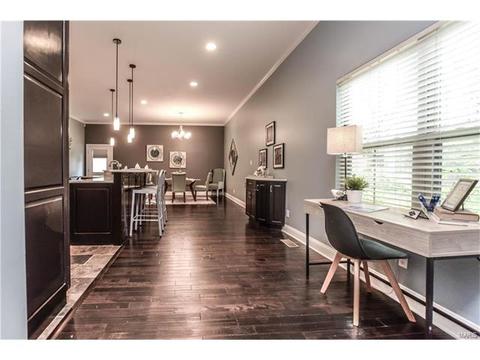 910 Morrison Ave, Saint Louis, MO 63104 photo 11