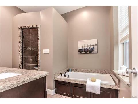 910 Morrison Ave, Saint Louis, MO 63104 photo 25