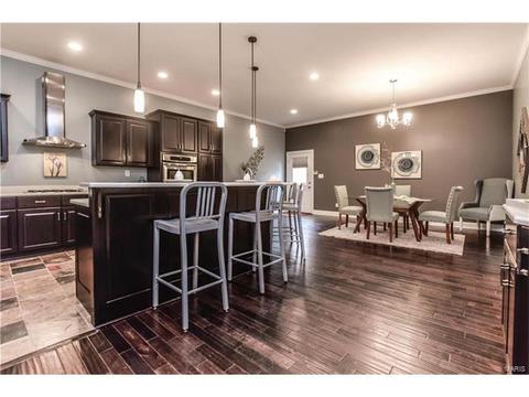 910 Morrison Ave, Saint Louis, MO 63104 photo 12