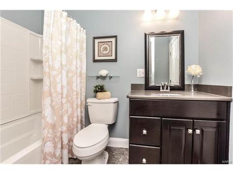 910 Morrison Ave, Saint Louis, MO 63104 photo 22