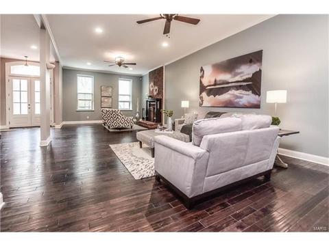 910 Morrison Ave, Saint Louis, MO 63104 photo 8