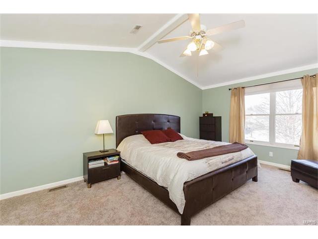 172 Spring Oaks Dr, Ballwin, MO 63011 photo 19