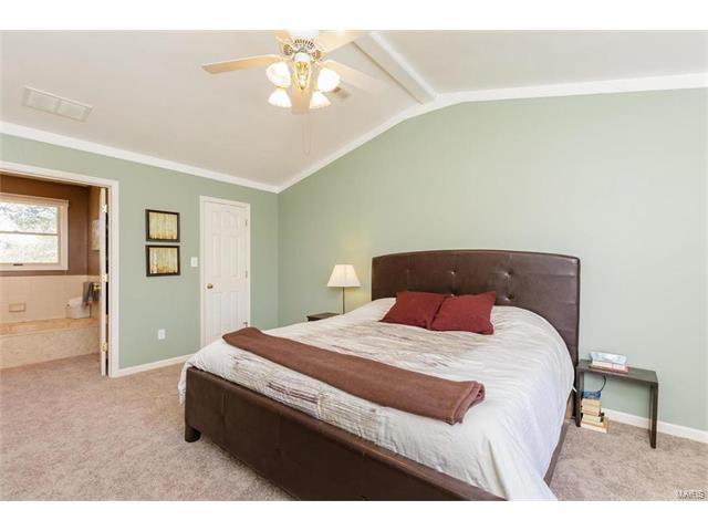 172 Spring Oaks Dr, Ballwin, MO 63011 photo 20