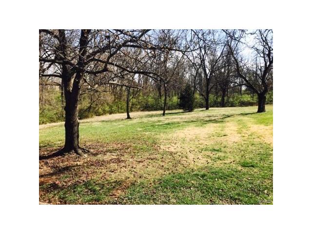 1142 Marsh Ave, Ellisville, MO 63011 photo 14