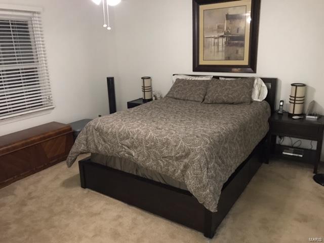 1142 Marsh Ave, Ellisville, MO 63011 photo 10