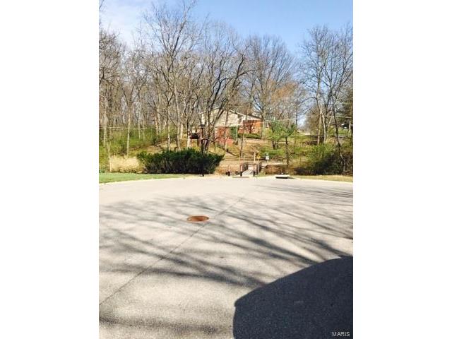 1142 Marsh Ave, Ellisville, MO 63011 photo 15