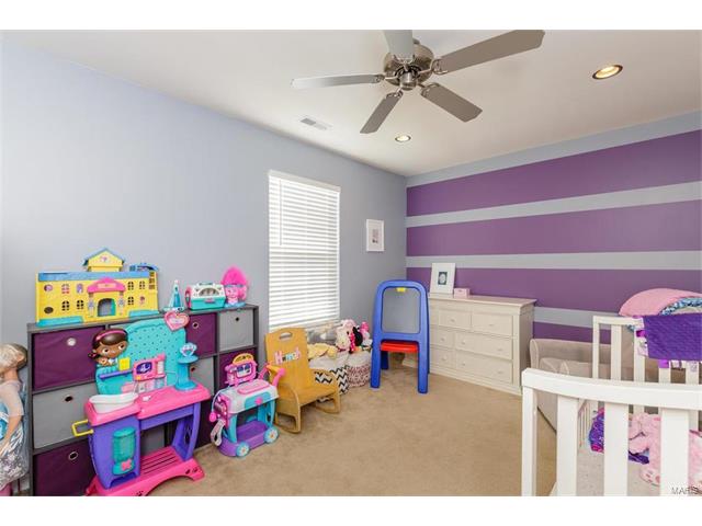 425 Spring Trce, O'fallon, MO 63368 photo 23