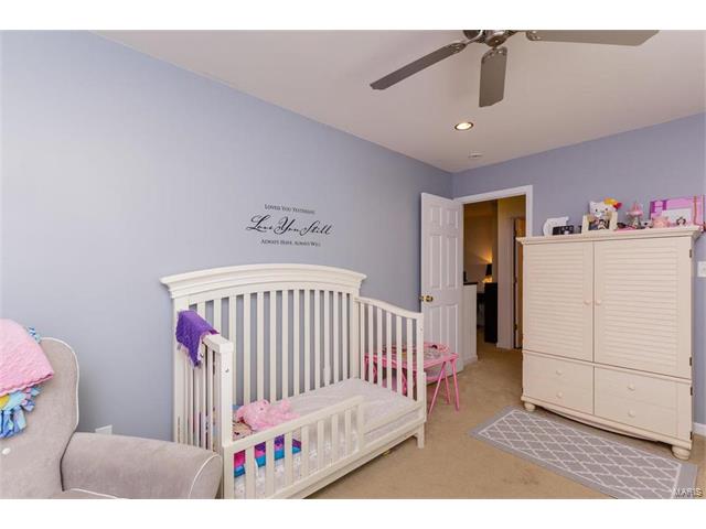 425 Spring Trce, O'fallon, MO 63368 photo 25
