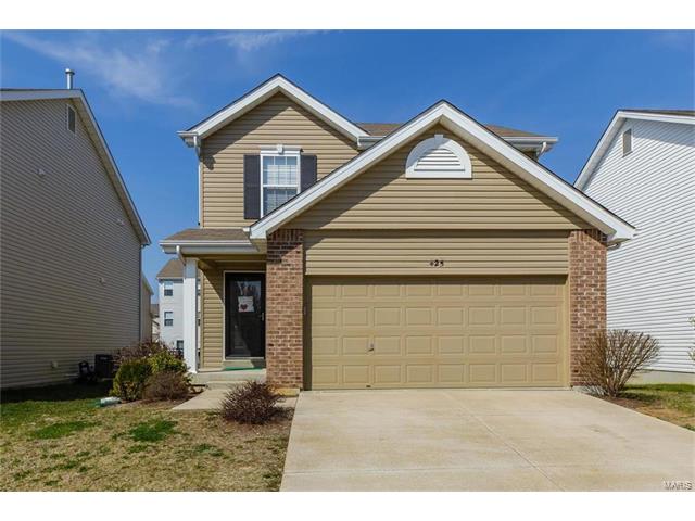 425 Spring Trce, O'fallon, MO 63368 photo 29