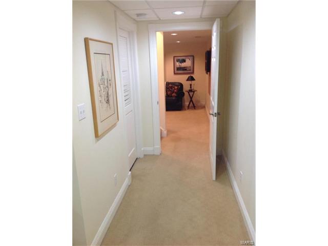 1603 Dalton Ter, Ballwin, MO 63021 photo 39