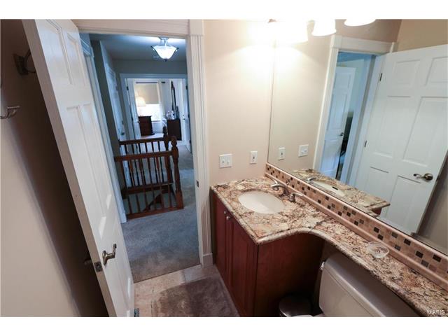 1603 Dalton Ter, Ballwin, MO 63021 photo 44