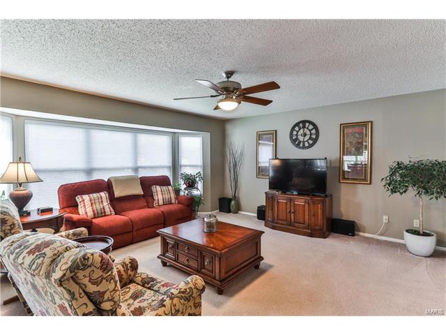 240 Old Stone Ct, O'fallon, MO 63368 photo 21