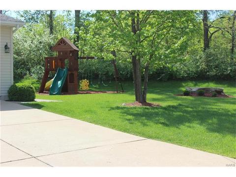 1102 Bellow Falls Dr, O'fallon, MO 63368 photo 44