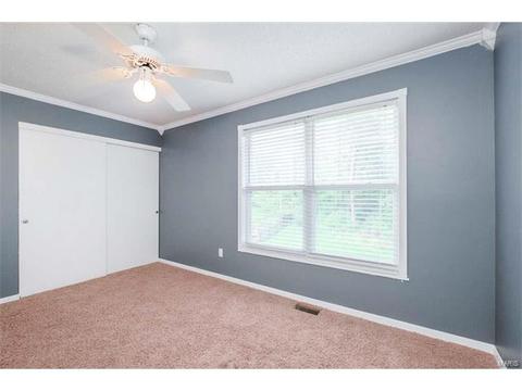 1102 Bellow Falls Dr, O'fallon, MO 63368 photo 31