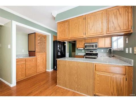 1102 Bellow Falls Dr, O'fallon, MO 63368 photo 59