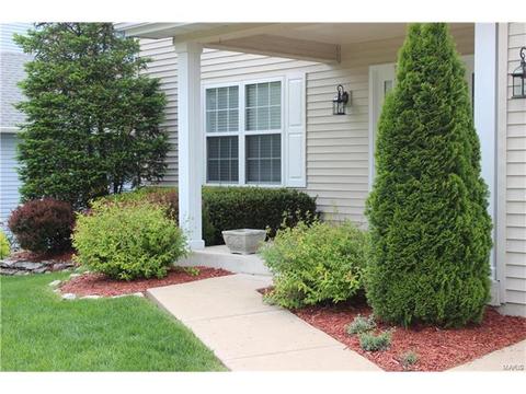 1102 Bellow Falls Dr, O'fallon, MO 63368 photo 43