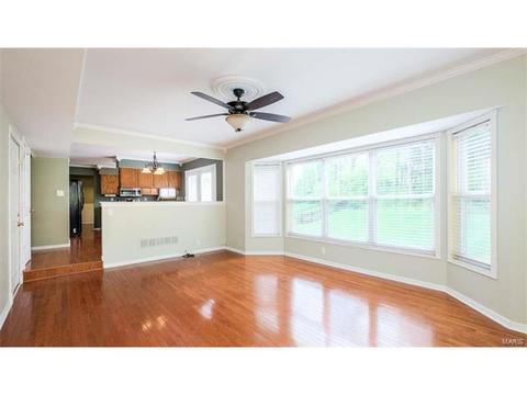 1102 Bellow Falls Dr, O'fallon, MO 63368 photo 5