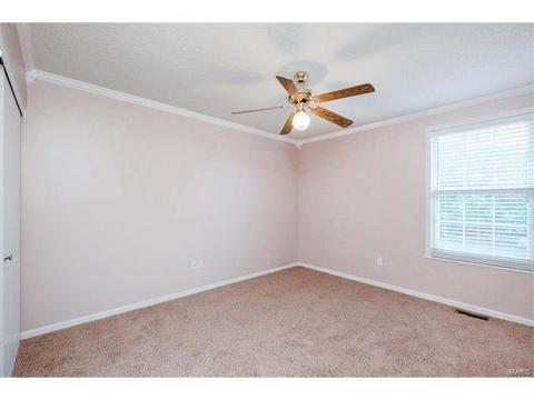 1102 Bellow Falls Dr, O'fallon, MO 63368 photo 32