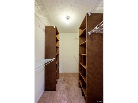 1102 Bellow Falls Dr, O'fallon, MO 63368 photo 27