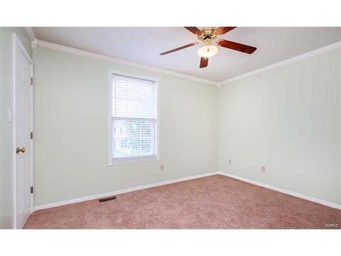 1102 Bellow Falls Dr, O'fallon, MO 63368 photo 33
