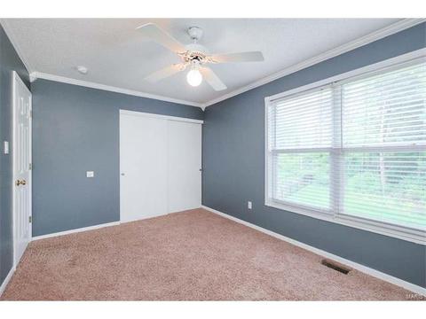 1102 Bellow Falls Dr, O'fallon, MO 63368 photo 30
