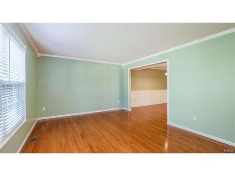 1102 Bellow Falls Dr, O'fallon, MO 63368 photo 6