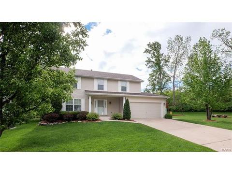 1102 Bellow Falls Dr, O'fallon, MO 63368 photo 40