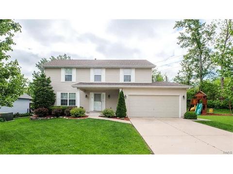1102 Bellow Falls Dr, O'fallon, MO 63368 photo 41