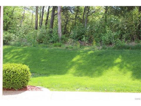 1102 Bellow Falls Dr, O'fallon, MO 63368 photo 45
