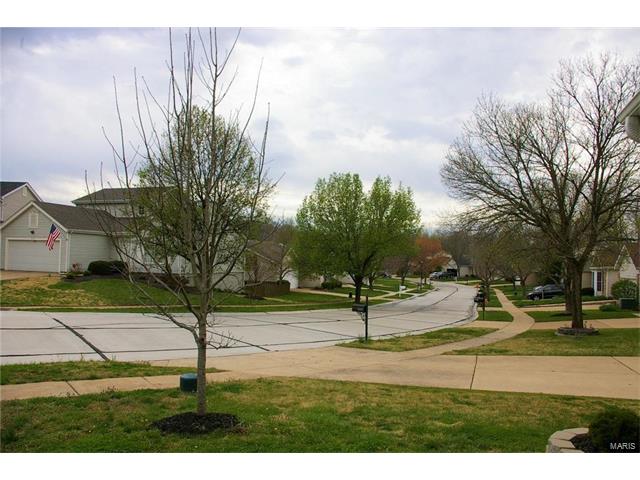 2505 Hidden Meadow Ln, Ballwin, MO 63021 photo 17