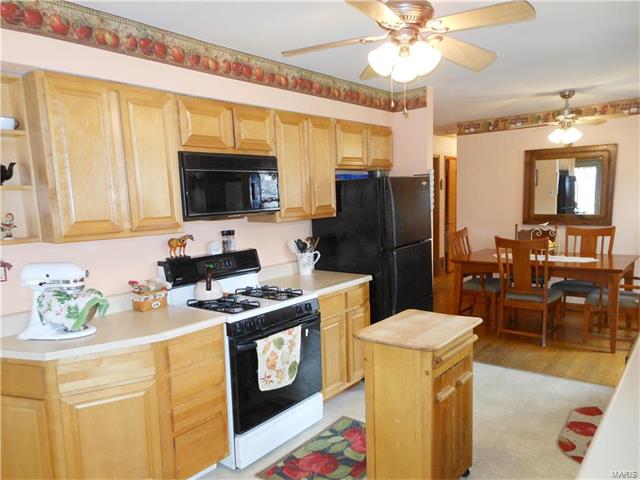 503 Shady Ln, O'fallon, MO 63366 photo 18