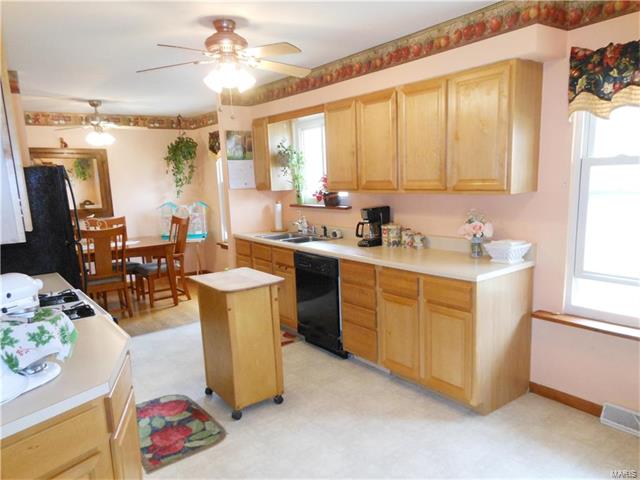 503 Shady Ln, O'fallon, MO 63366 photo 19