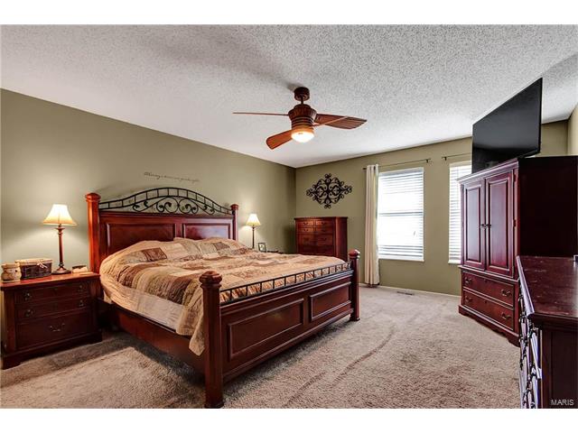 2585 Dunmore Cir, O'fallon, MO 63368 photo 12