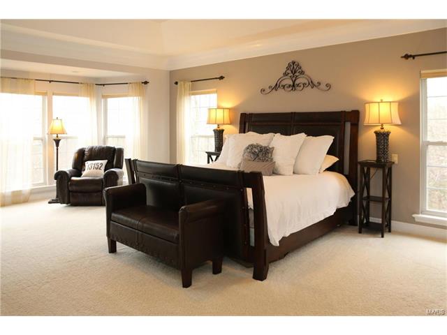 990 Stone Spring Dr, Eureka, MO 63025 photo 13
