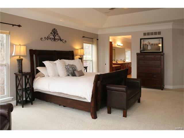 990 Stone Spring Dr, Eureka, MO 63025 photo 14