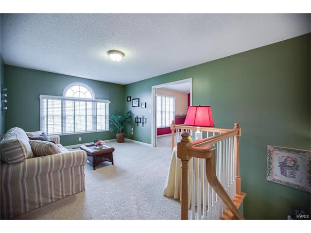 8 Cog Mill Ct, O'fallon, MO 63368 photo 18