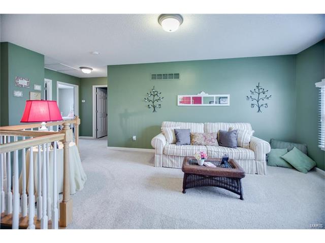 8 Cog Mill Ct, O'fallon, MO 63368 photo 20