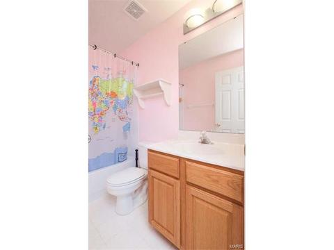 417 Copper Tree Trl, O'fallon, MO 63368 photo 50