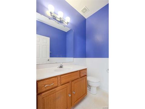 417 Copper Tree Trl, O'fallon, MO 63368 photo 21