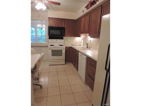 308 Fox Village Ct, Ballwin, MO 63021 photo 5