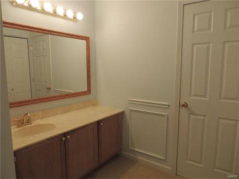 308 Fox Village Ct, Ballwin, MO 63021 photo 18