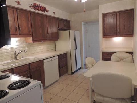 308 Fox Village Ct, Ballwin, MO 63021 photo 6