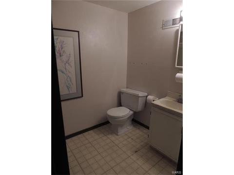 308 Fox Village Ct, Ballwin, MO 63021 photo 21