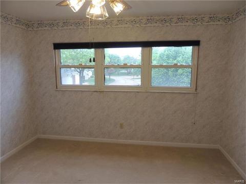 308 Fox Village Ct, Ballwin, MO 63021 photo 12