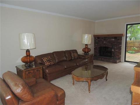 308 Fox Village Ct, Ballwin, MO 63021 photo 10