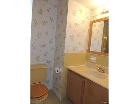 308 Fox Village Ct, Ballwin, MO 63021 photo 13