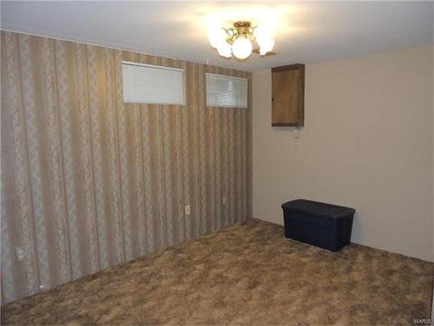 308 Fox Village Ct, Ballwin, MO 63021 photo 20